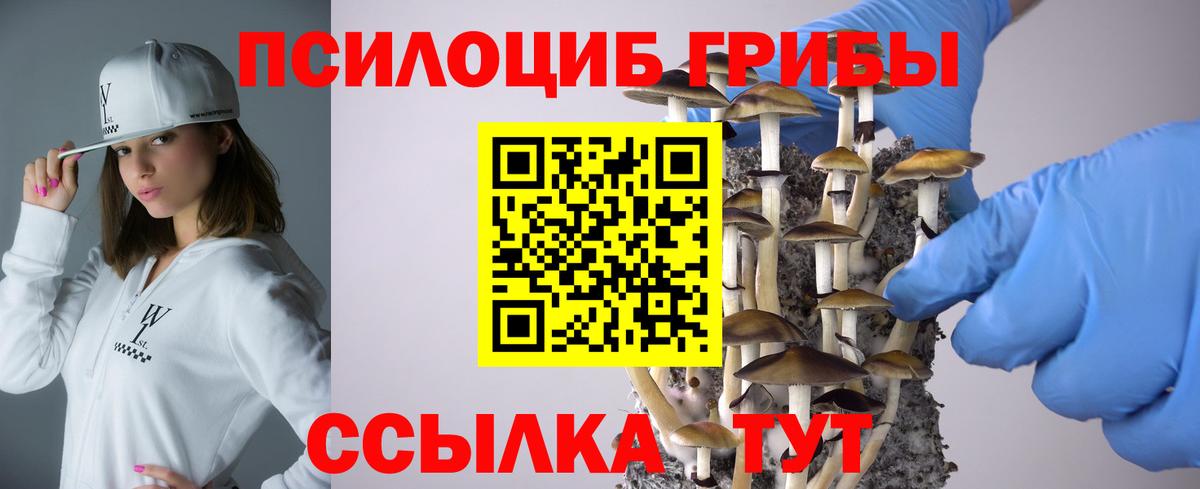 Галлюциногенные грибы GOLDEN TEACHER  Вход с VPN  Новосибирск  Галлюциногенные грибы GOLDEN TEACHER 